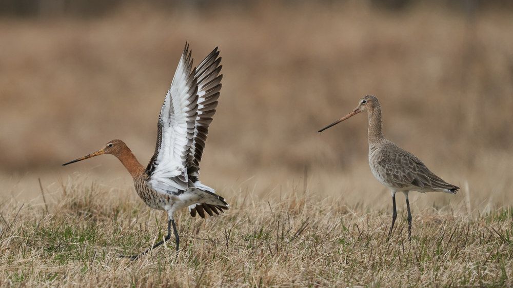 Photograph by Victor Krachkovsky