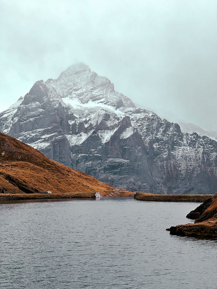 Photograph by Bao Nguyen