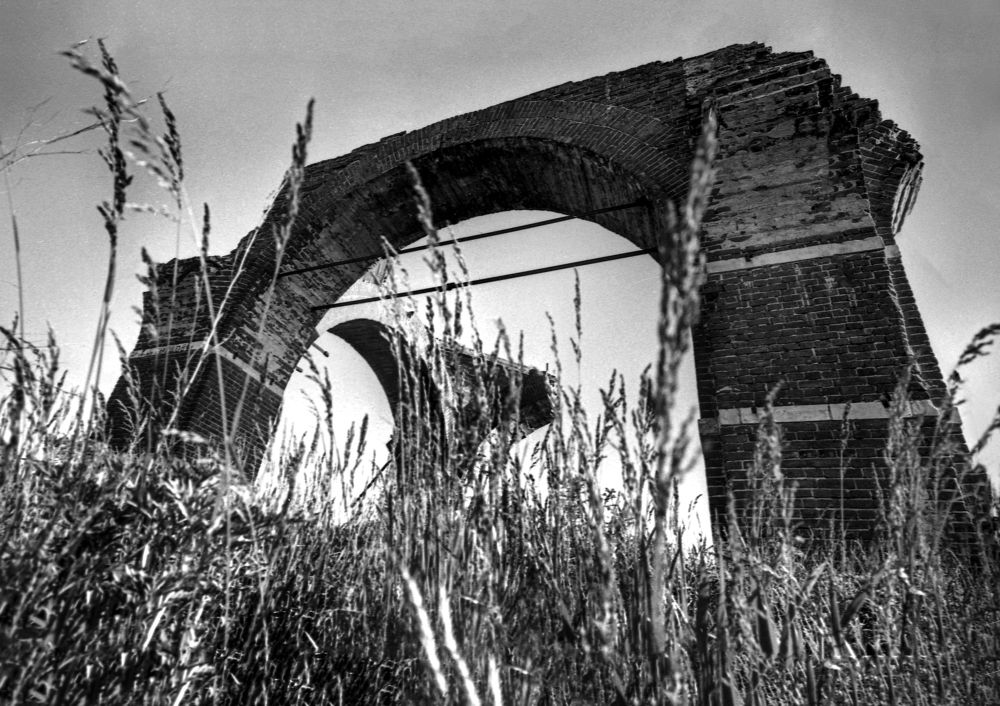 Photograph by Cергей Абакумов