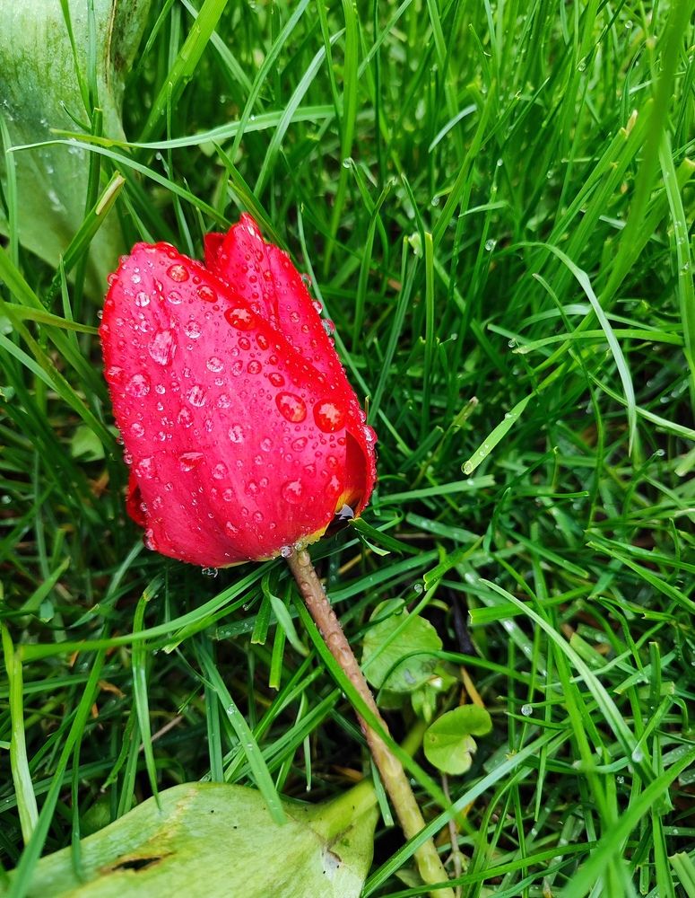Photograph by Анна Напримерова