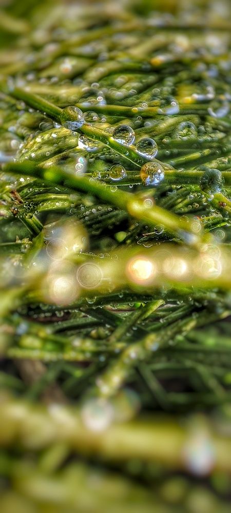 Photograph by Konstantin Martynov