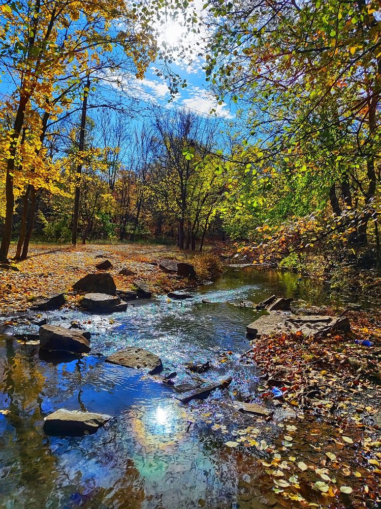 Photograph by Анна Напримерова