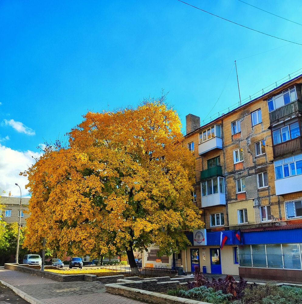 Photograph by Анна Напримерова