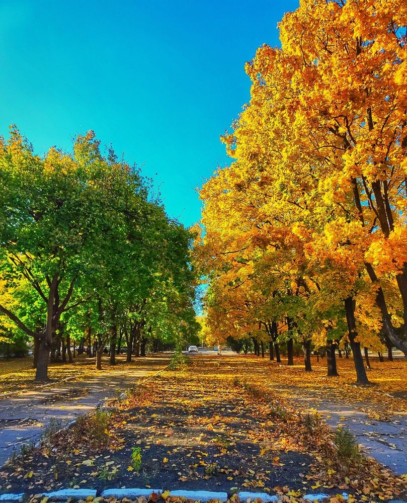 Photograph by Анна Напримерова
