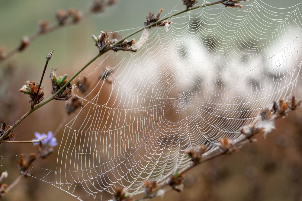 Photograph by Татьяна Рудковская