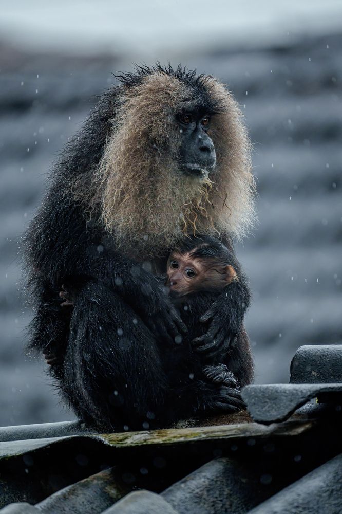 Photograph by Hari Venkatesh