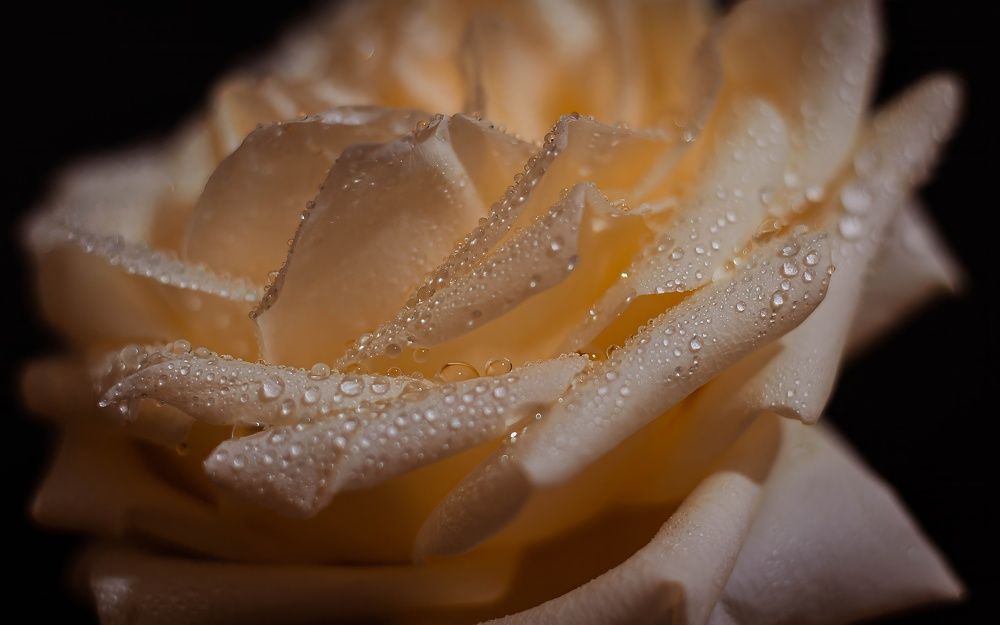 Photograph by Вадим Басов