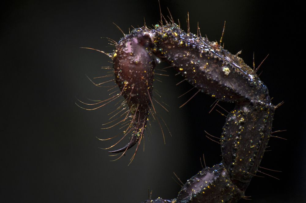 Фотография автора ChonTin NeCoTi