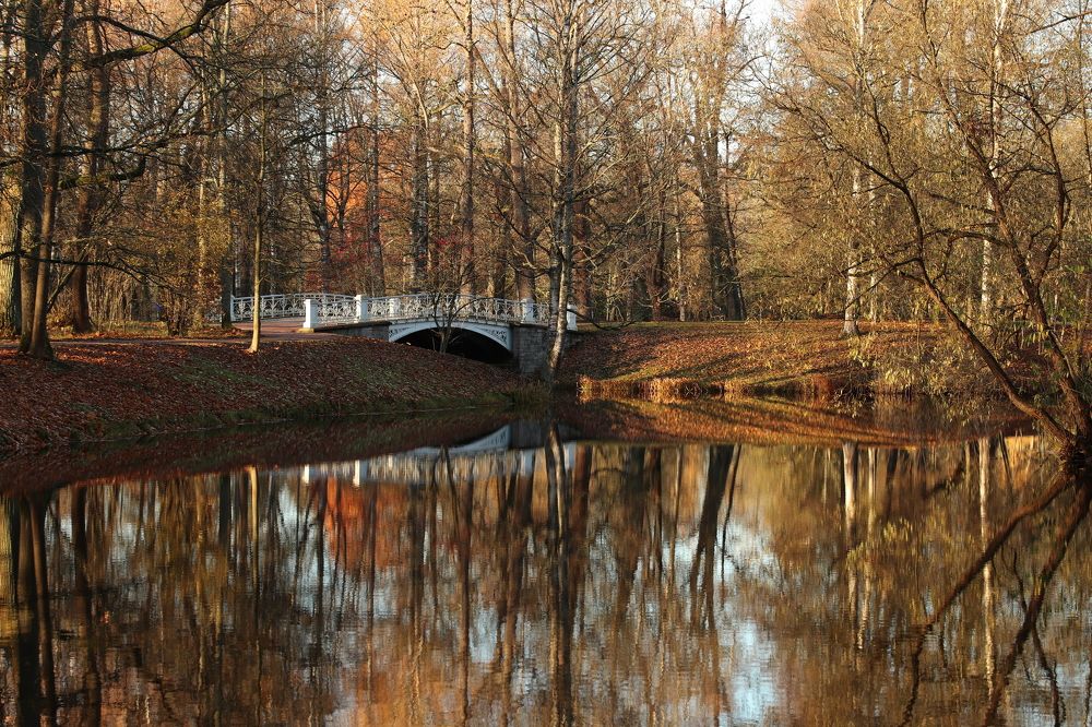 Photograph by Елена Николаева