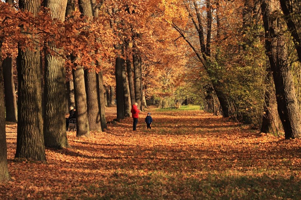 Photograph by Елена Николаева