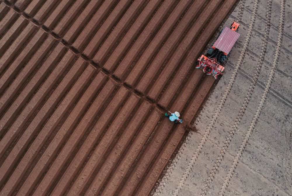 Фотография автора Lien Vu