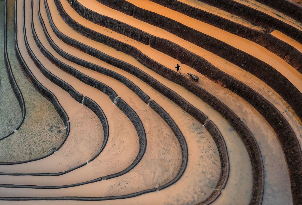 Фотография автора Lien Vu