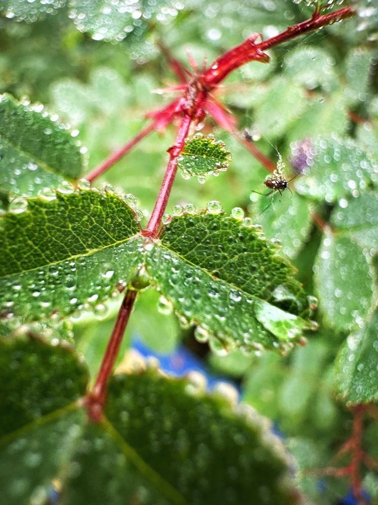 Фотография автора Людмила Аверина
