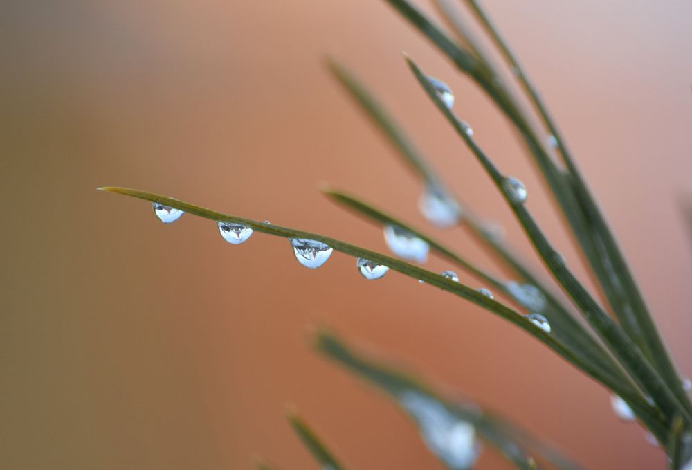 Фотография автора Оксана Льдинина
