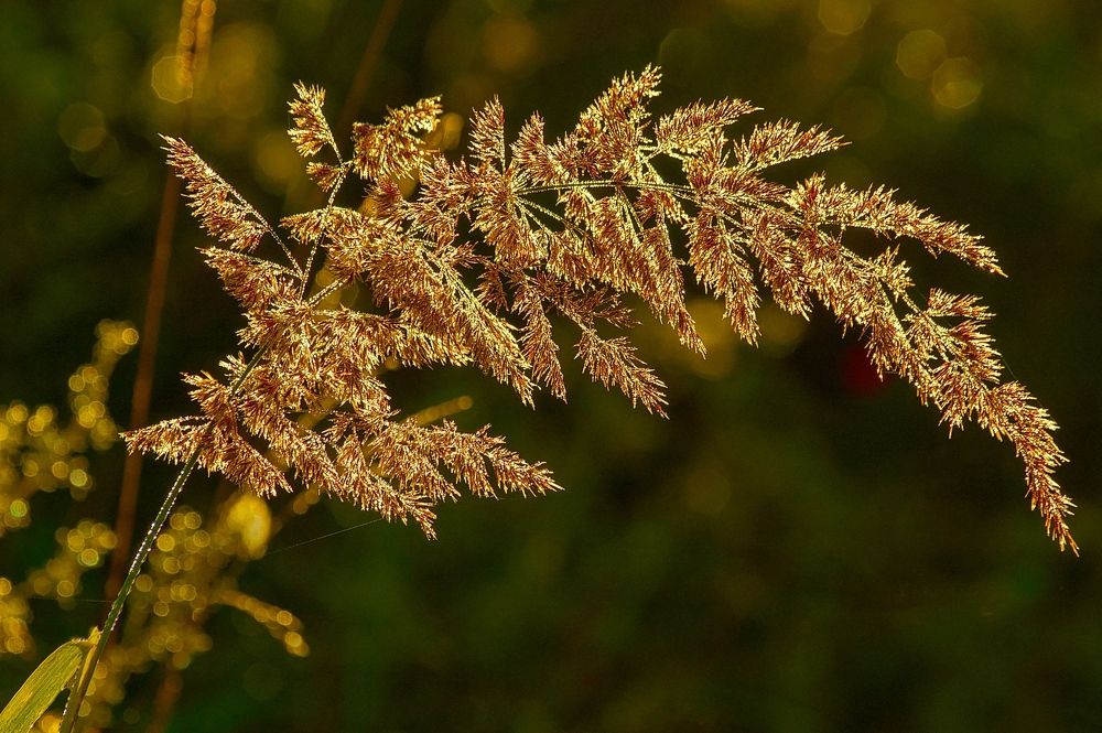 Photograph by Юрий Спасенников