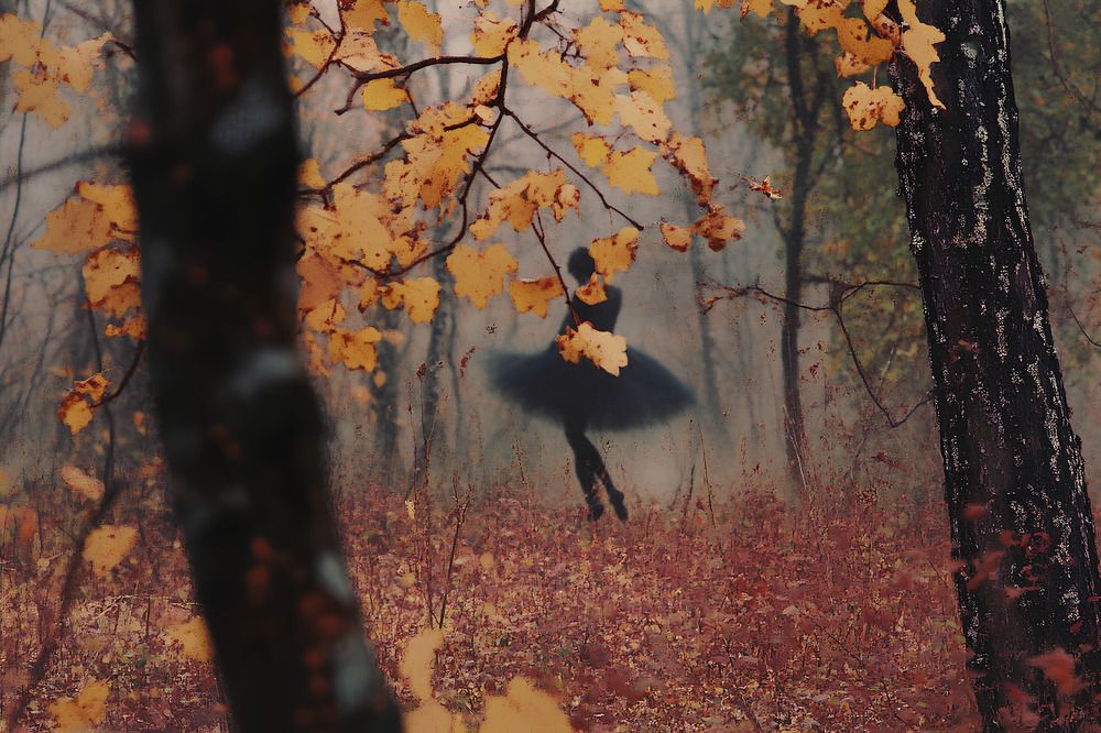 Чёрный лебедь