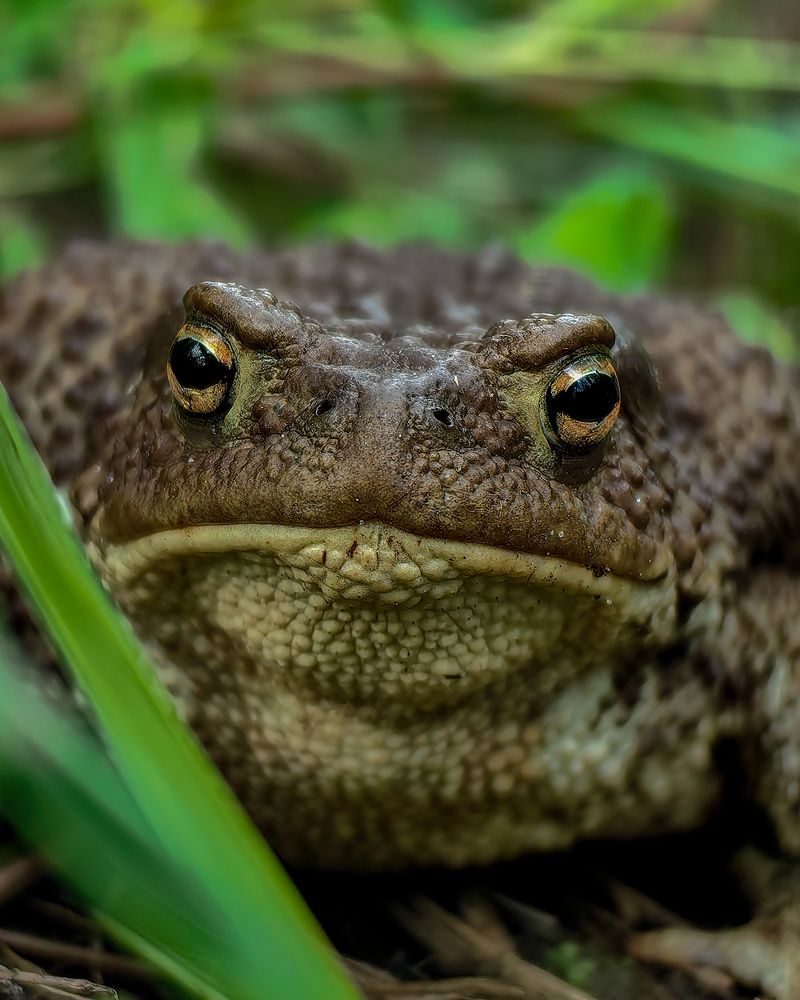 Photograph by Наталья Балабанова