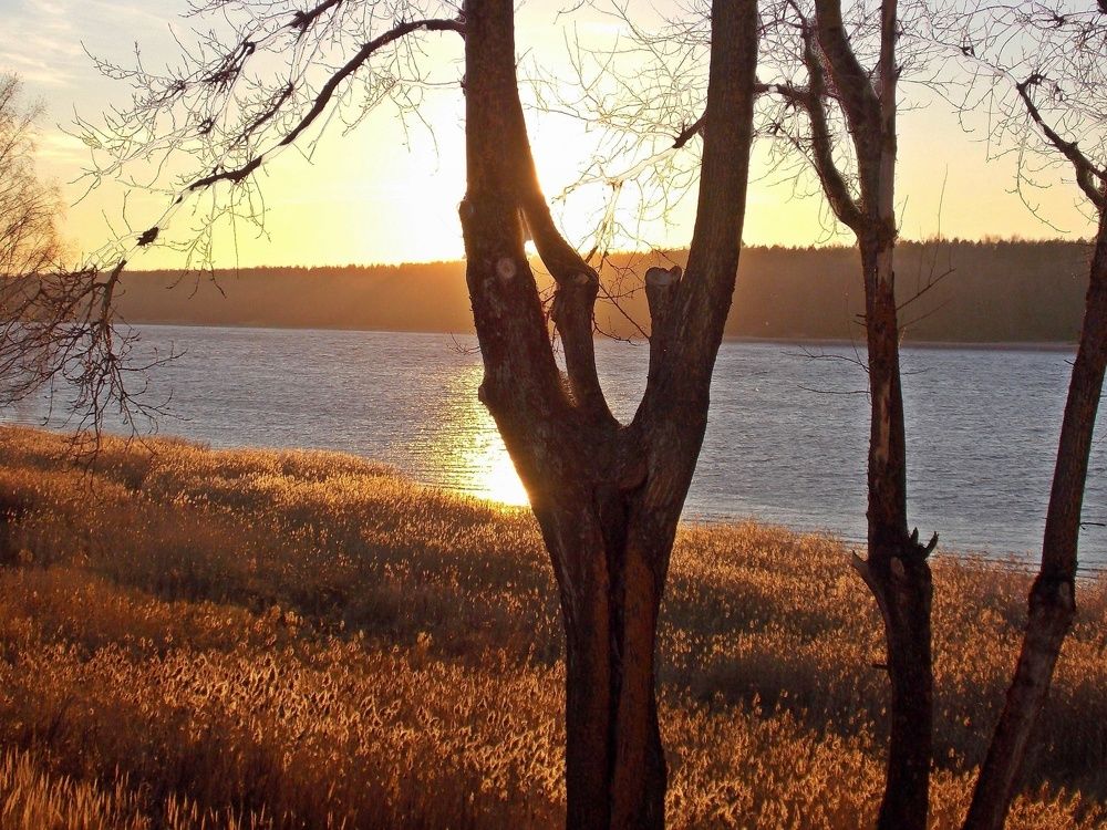 Невa  в  Кировске