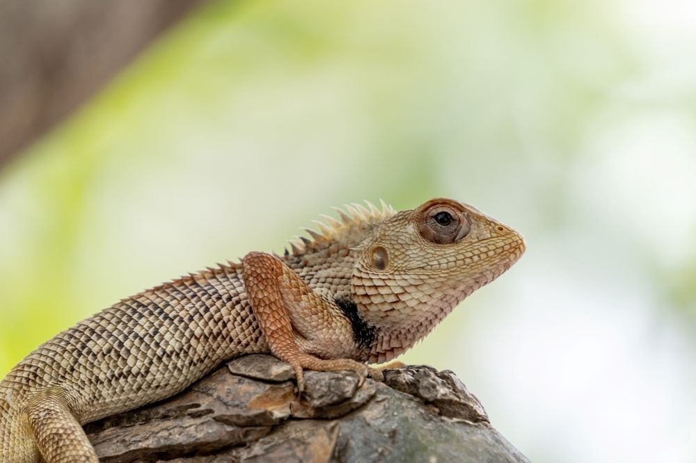 Photograph by Oxana Ukhlina