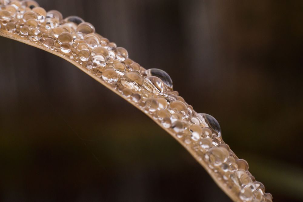 Photograph by Дмитрий Пасынков