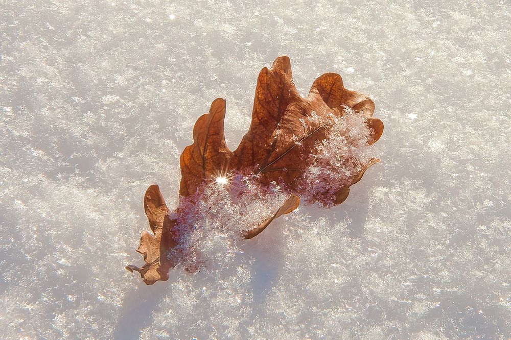 Photograph by Юрий Спасенников