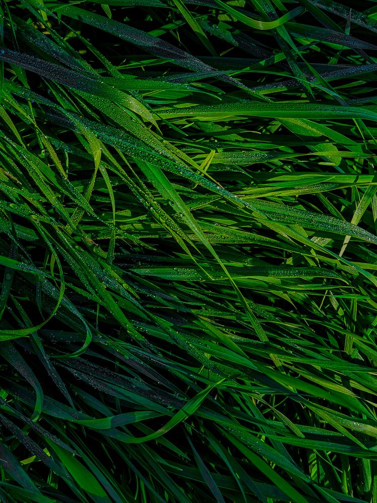 Photograph by Ирина Герлин