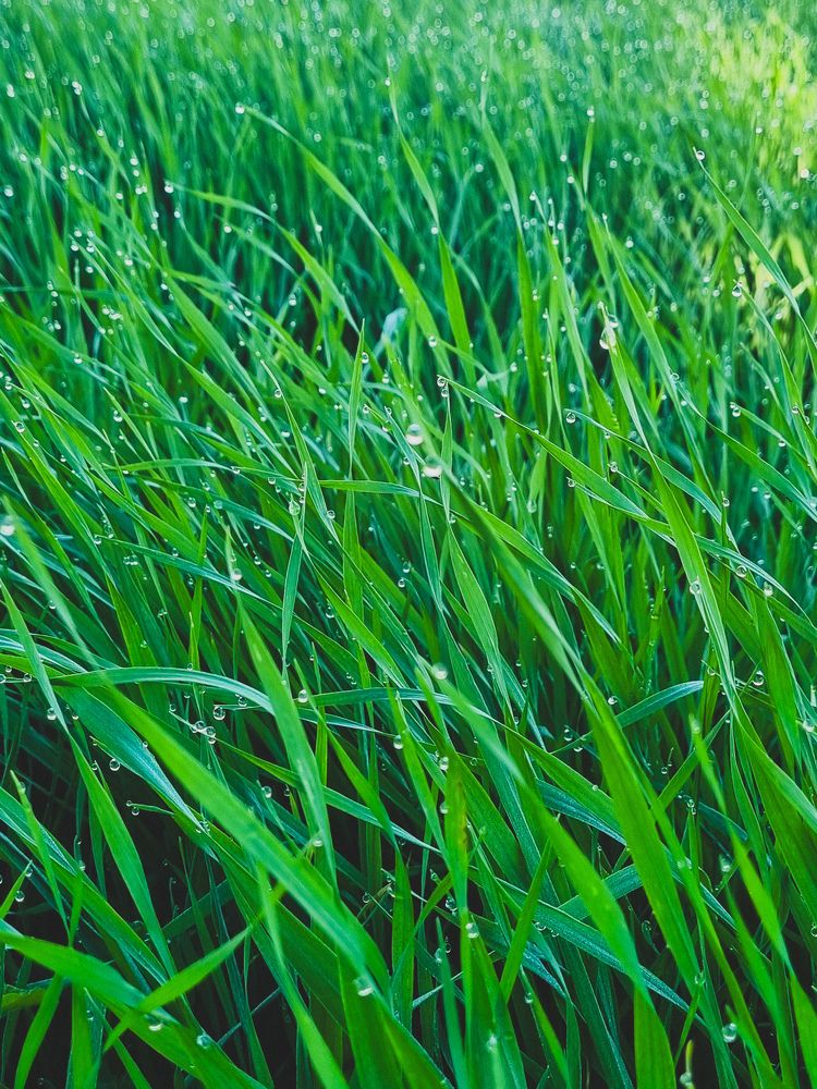 Photograph by Ирина Герлин