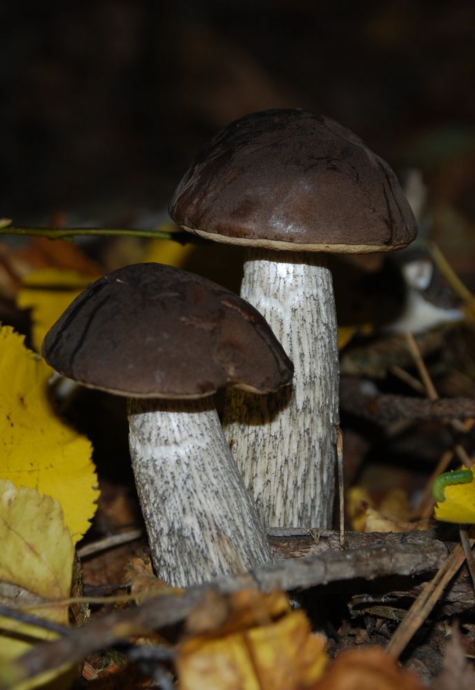 Photograph by Андрей Чуйков