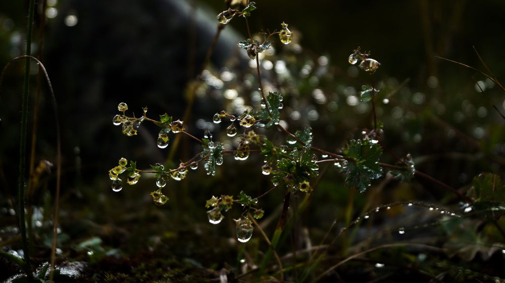Photograph by Наталья Ерохина