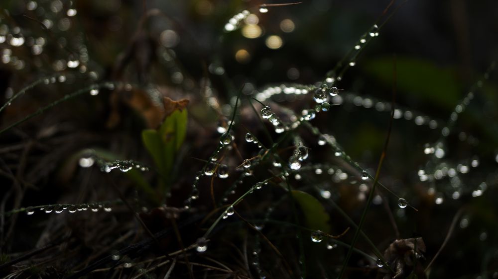 Photograph by Наталья Ерохина