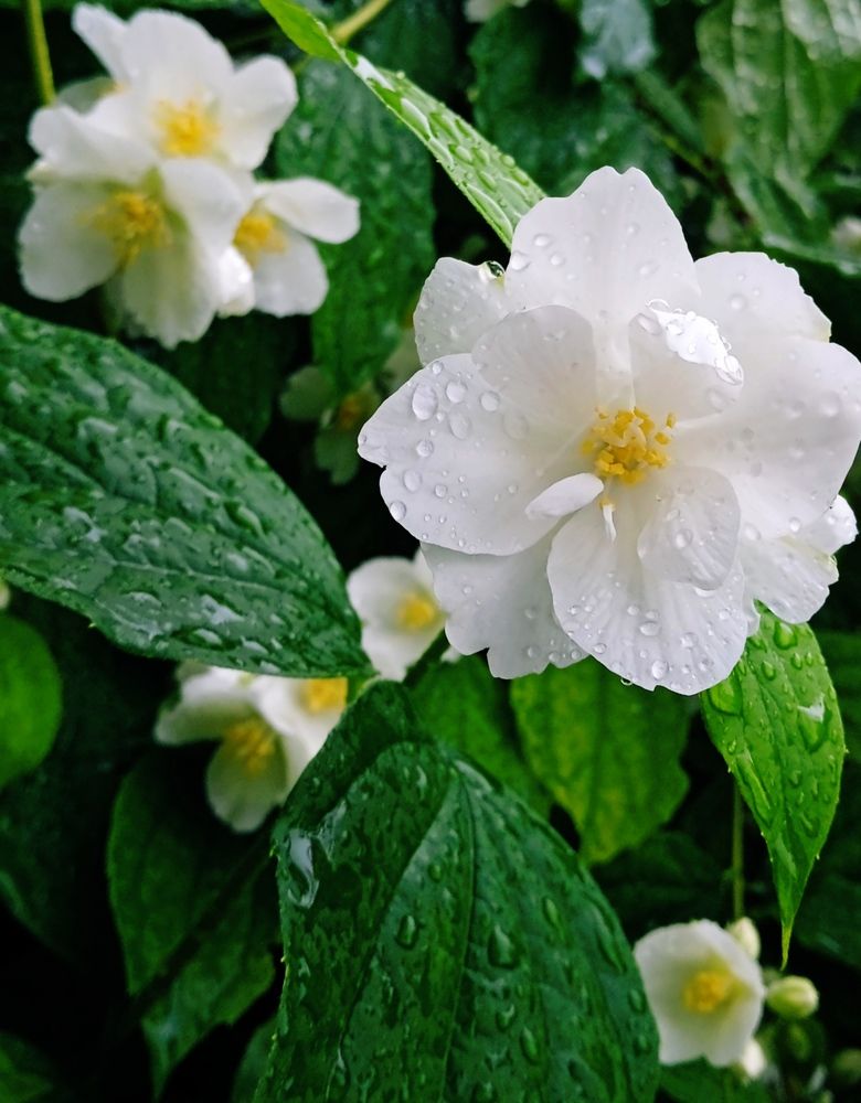 Photograph by Наталья Назаренко