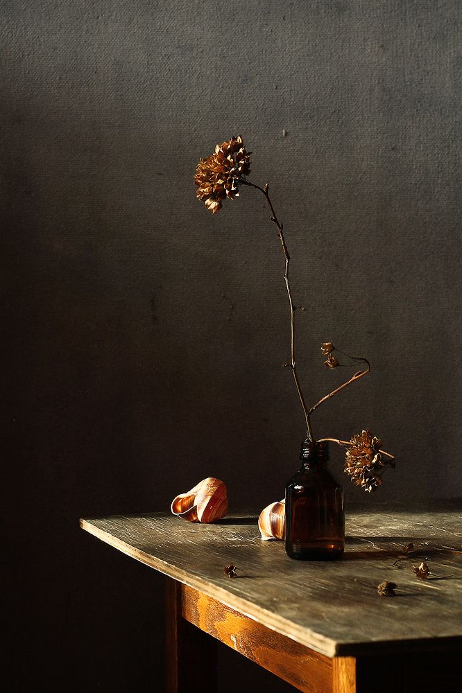 Photograph by Курочкина Диана