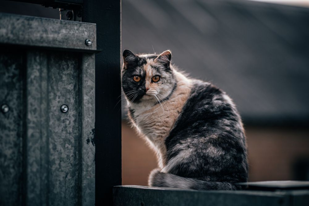 Photograph by Екатерина