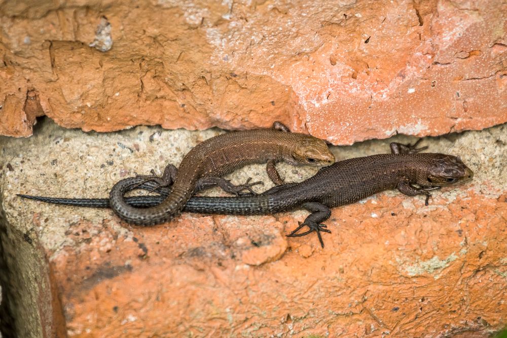 Photograph by Сергей Алексеев