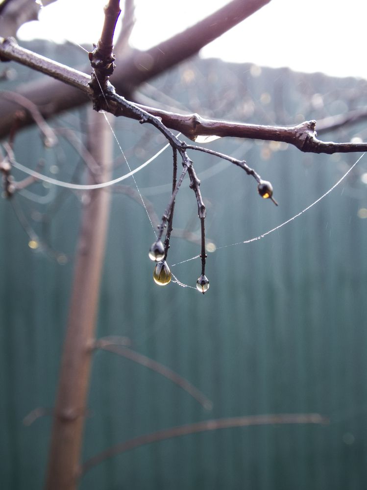 Photograph by Анна Ермилова