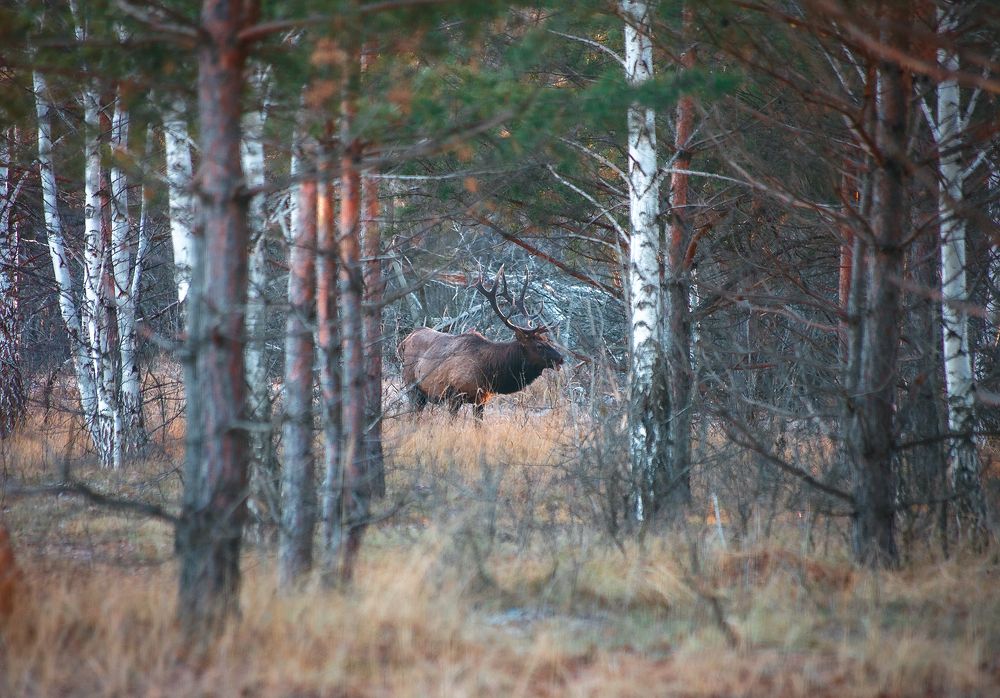 Photograph by Ткачёв Владимир
