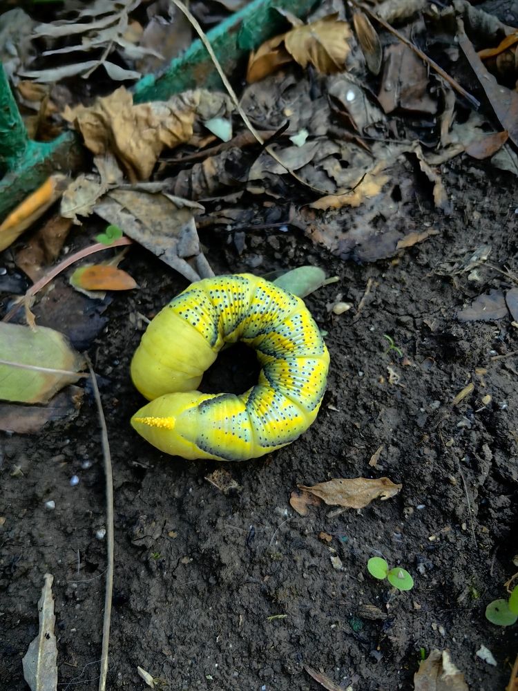 Photograph by Василий Шахмаев