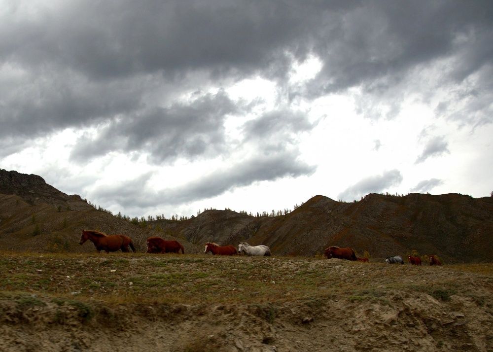 Photograph by Екатерина Осколкова