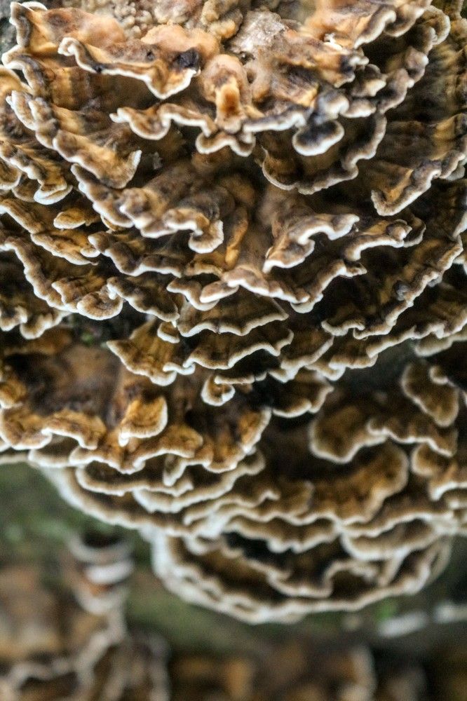 Photograph by volkan akan