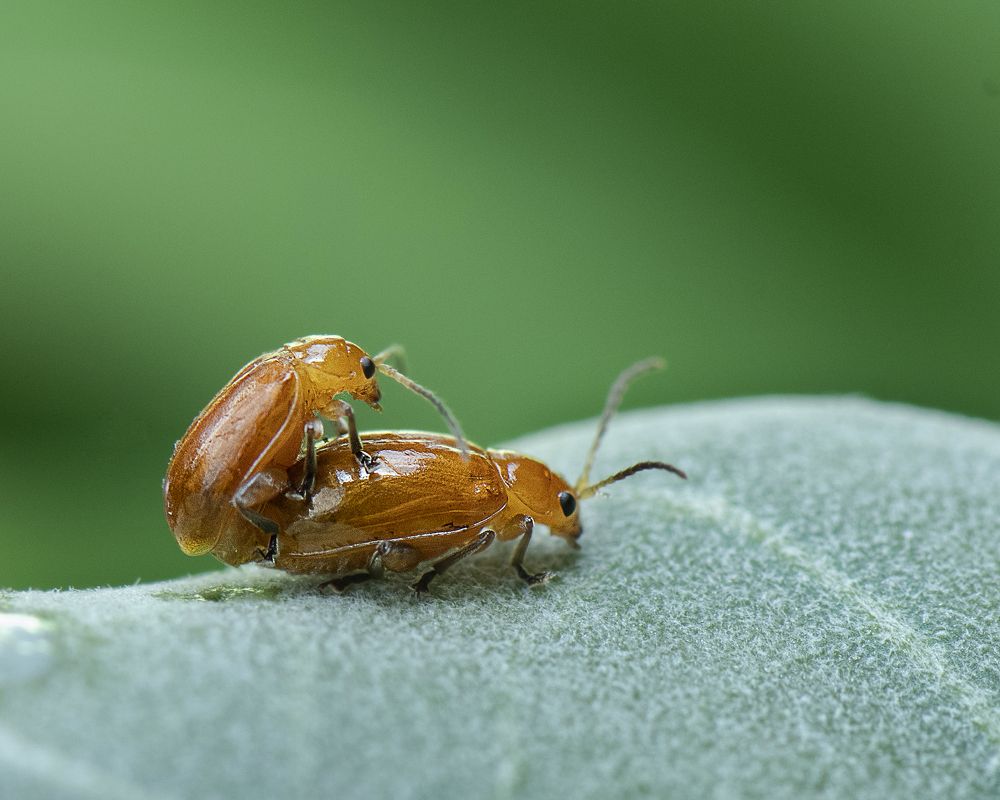 Photograph by Benjamine Dharashan