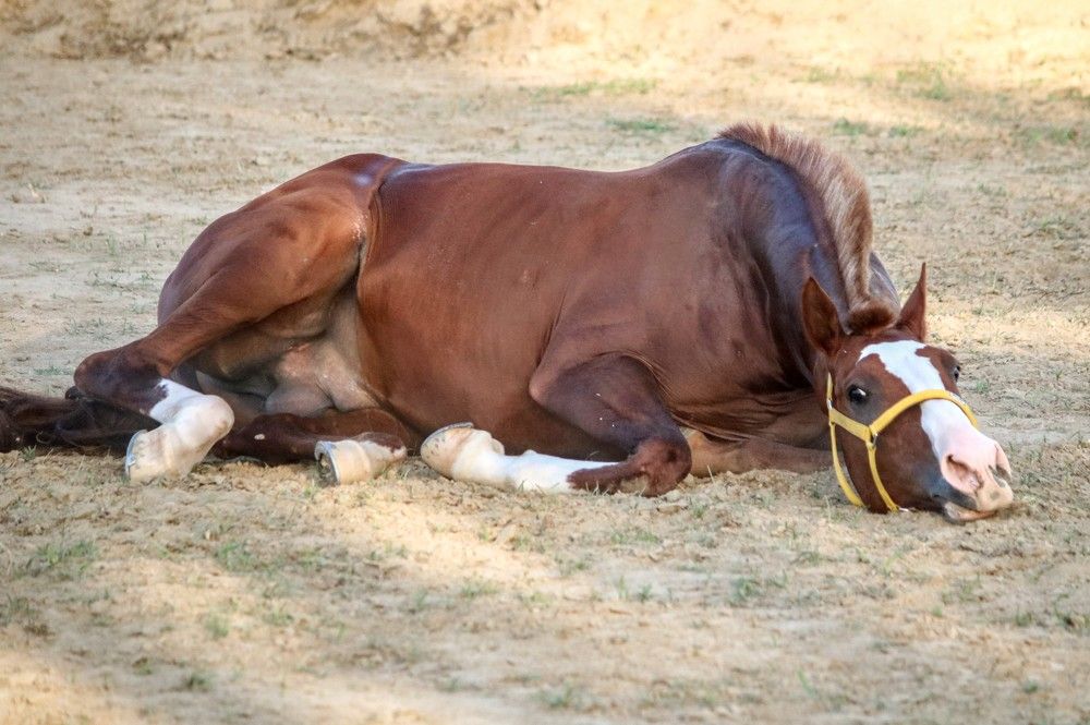 Photograph by volkan akan