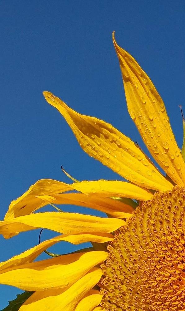 Photograph by Екатерина Осколкова