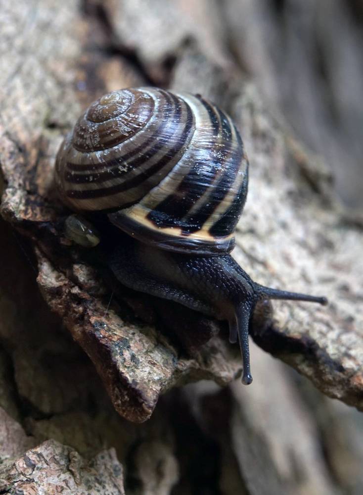 Photograph by Лена Максимкина