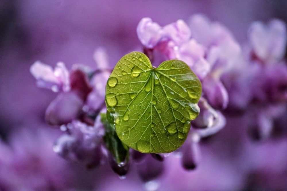 Photograph by volkan akan