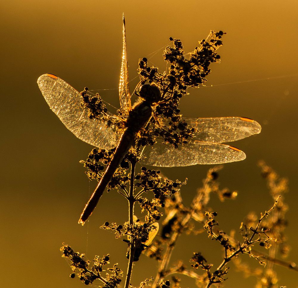 Photograph by Marianna Klein