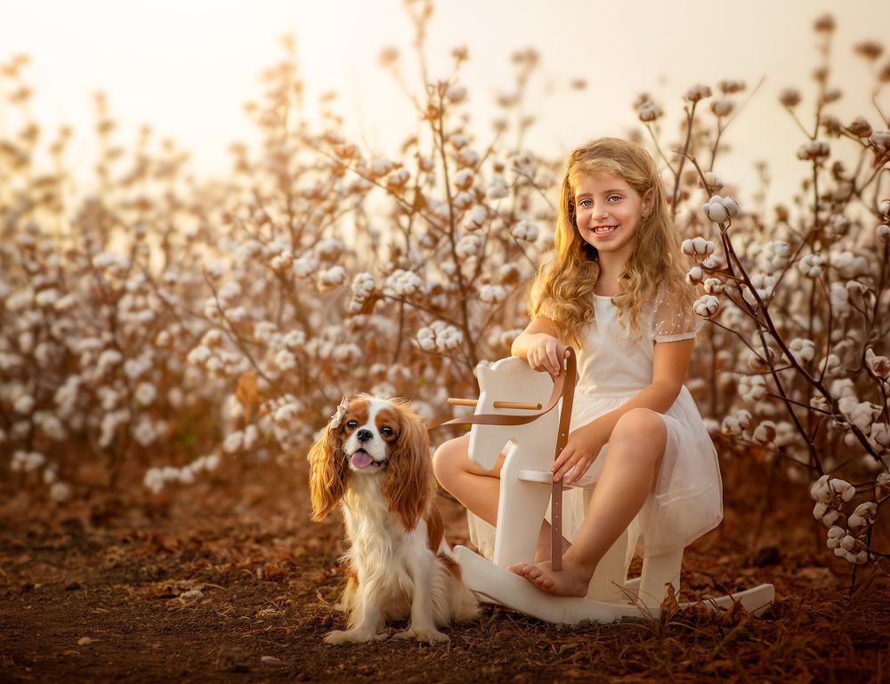 Photograph by Hamutal Avioz