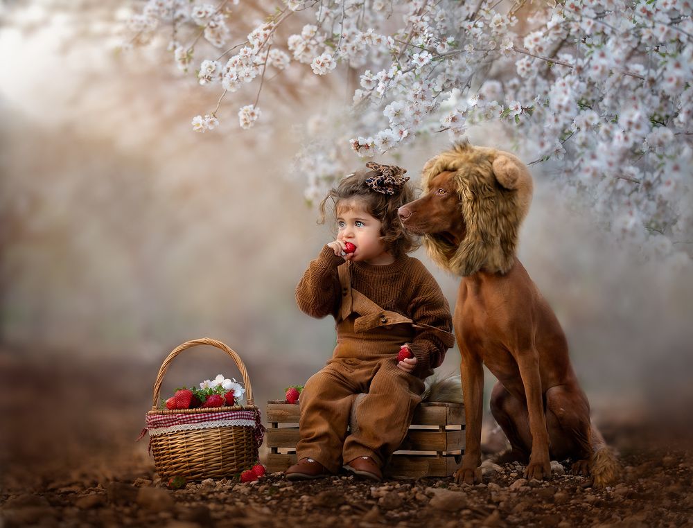 Photograph by Hamutal Avioz