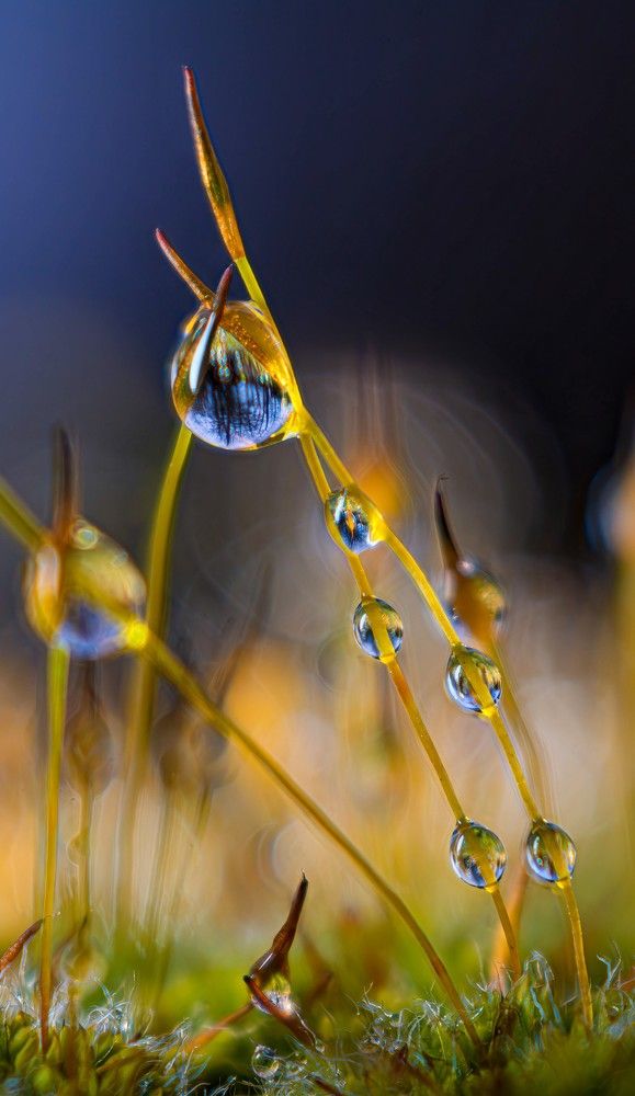 Photograph by Marianna Klein