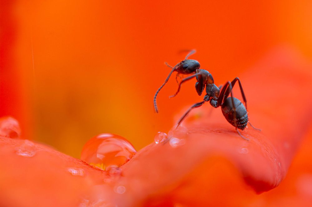 Photograph by Marianna Klein