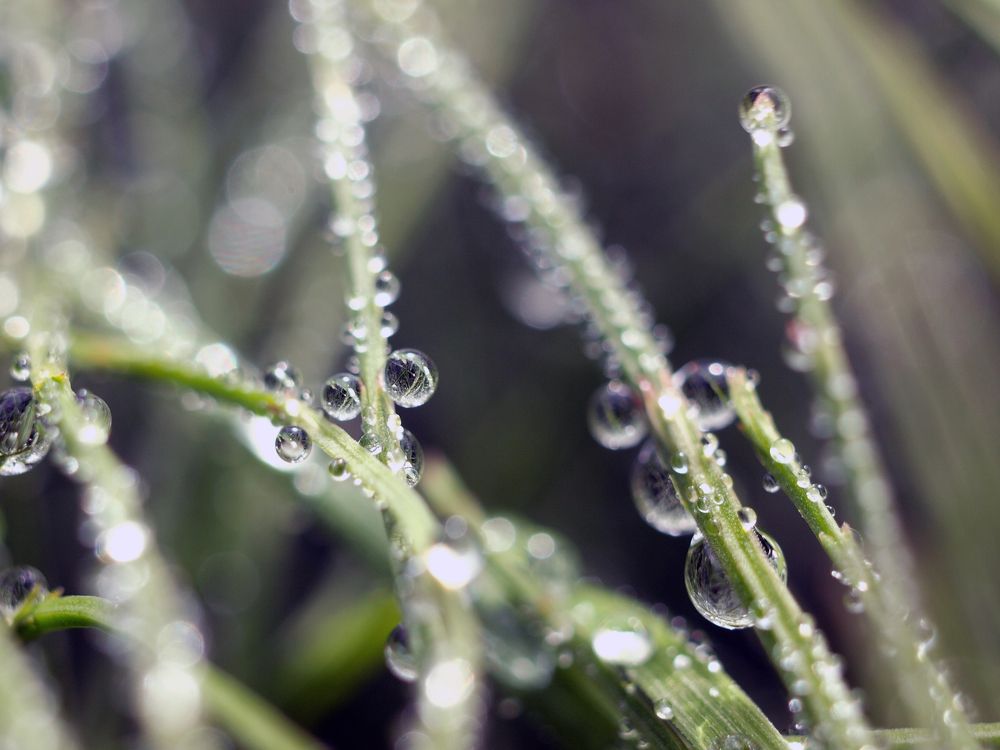 Photograph by Дмитрий Васючков